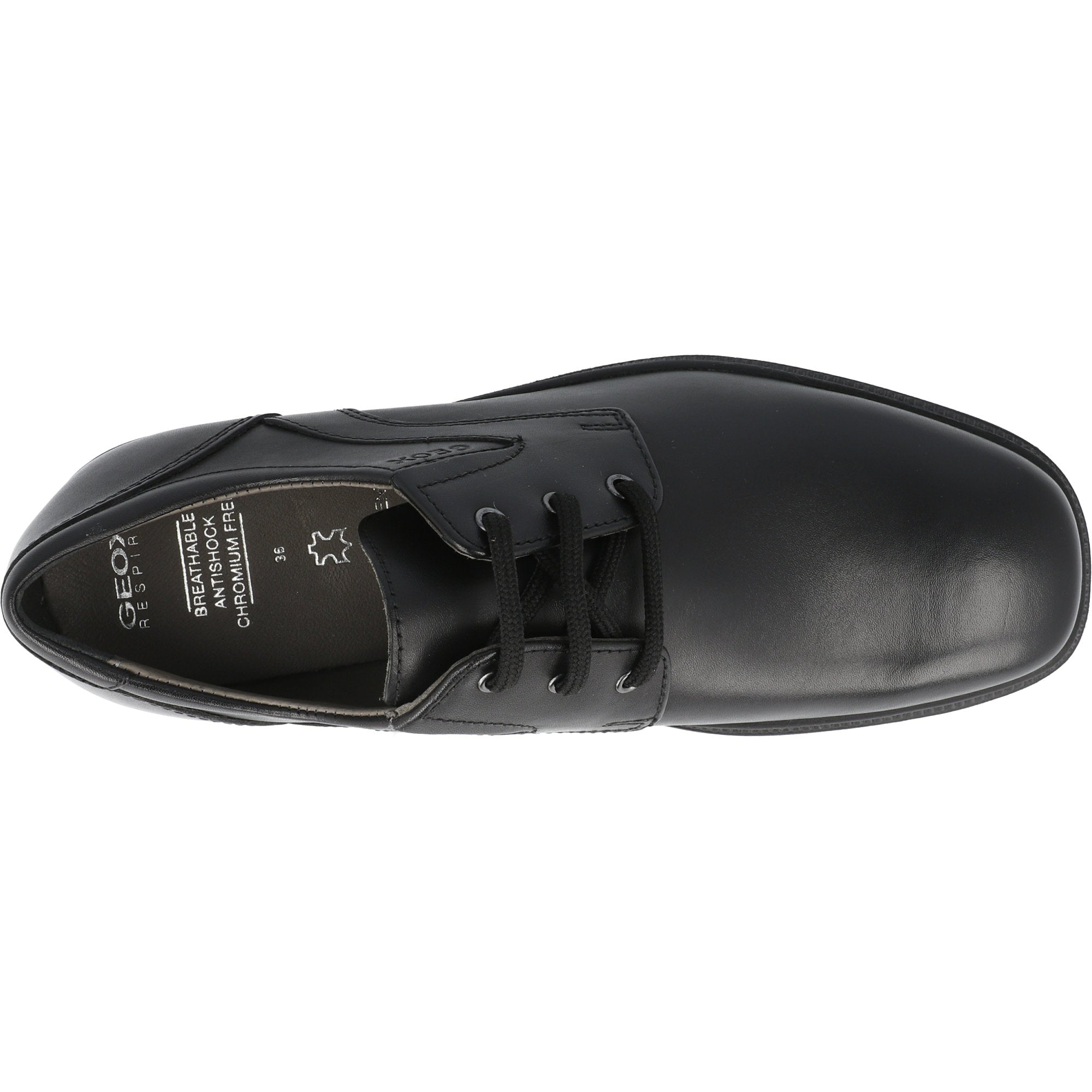 Geox Federico Black School Shoes