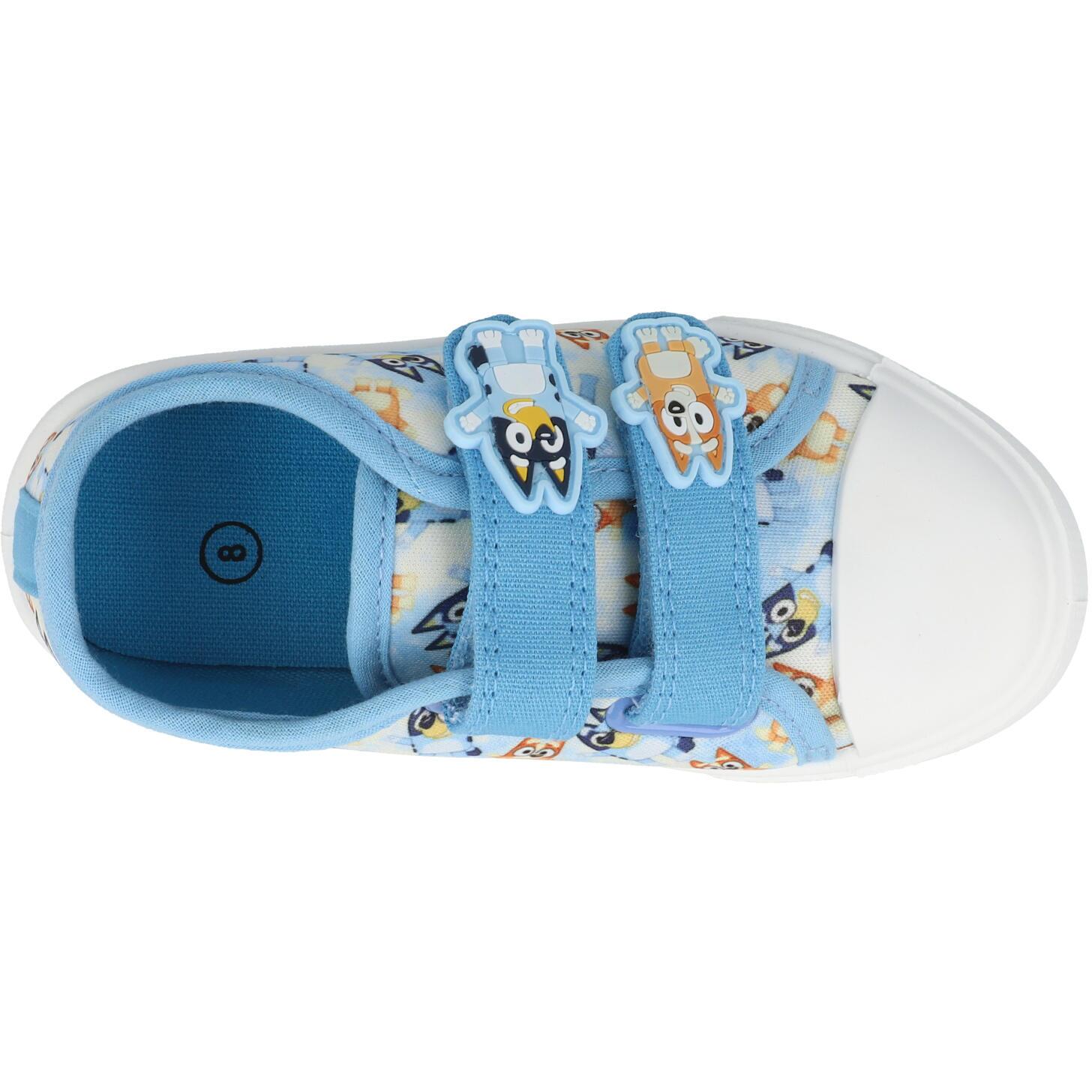 Bluey Aldo Canvas Blue/White GCI29648